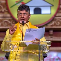 Chandrababu held review with party leaders 