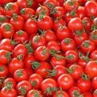 Tomato prices have dropped in Andhra Pradesh and Telangana
