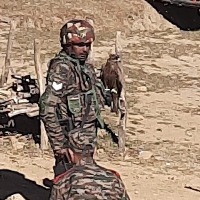 Indian army uses eagles to tackle drones 