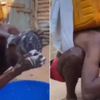 Video Showing Mans Unique Technique To Wash Hair Surprises Internet