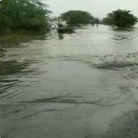 Heavy rains in Nellore and Tirupati districts