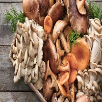 Health Benefits with Eating Mushrooms