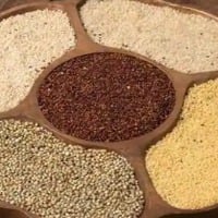 Make Millets as Popular as Yoga PM Modi Tells BJP MPs Ahead of Special Lunch in Parliament