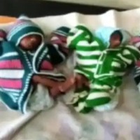 Rajasthan Woman Gave Birth For Triplets