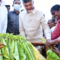 Chandrababu visits Kattavari Palem in Prakasam District