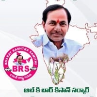 BRS Flexis and Hoardings In AP Cities and Towns