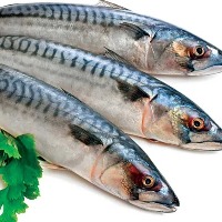 Eating oily fish twice a week might reduce the risk of kidney disease says scientists