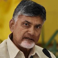 31 YSRCP MPs does not did any thing for AP in union budget says Chandrababu
