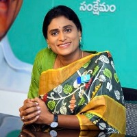YS Sharmila dares KCR to walk for a day with her