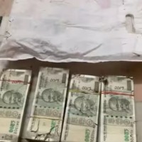 Termites Destroy Currency Notes Worth Rs 215 Lakh In Udaipur PNB
