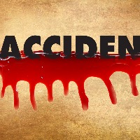 TSRTC driver among two killed in road accidents
