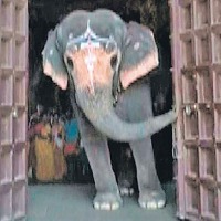 Elephant opens Tamil temple doors video goes viral 