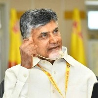 TDP chief urges people to 'save Andhra Pradesh'