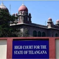 Telangana high court takes up boy death of stray dogs attack as Suo Moto