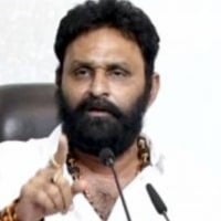 Kodali Nani comments on Chandrababu