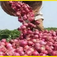 Maharashtra farmer sells 512 kg onion receives only of Rs 2