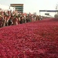 Congress rolls out rose carpet as Priyanka Gandhi arrives for plenary meet in Raipur