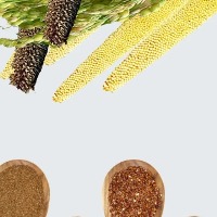 Ragi Jowar Bajra Dos And Donts Of Eating Millets