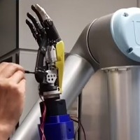 Robotic thumb, arm, wings on humans could soon be a reality