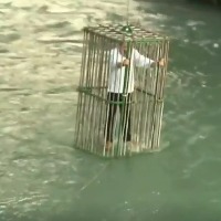 Italy town residents ridicule their politicians by putting them in a cage in a river