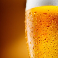 1 in 3 Indians believe that beer consumption helps treat kidney stones Survey