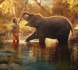 The Elephant Whisperers Wins Best Documentary Short film In Oscars 