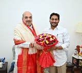 CM Jagan meeting with Amit Shah concludes