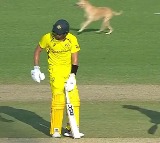 Stray Dog Halts India vs Australia Match For A While