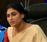 KCR destroyed hopes of 50L job aspirants in Telangana: YS Sharmila