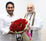 Andhra CM Reddy meets Amit shah, urges release of fund for developmental projects