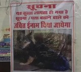 IAS Officer pet dog was missing gwalior police are engaged to searching