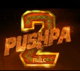 Glimpse from Pushpa 2 The Rule out now