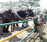 PM Modi visits Theppakadu elephant camp, interacts with Bomman and Bellie