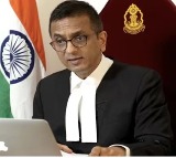 Dont mess around with my authority says CJI DY Chandrachud to lawyer seeking early listing