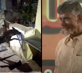 Chandrababu Reacts on Dog Removed Jagan Sticker Video