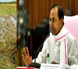 Telangana CM KCRs review with officials about crop loss due to rains