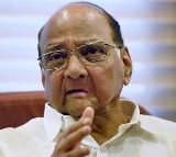 NCP Panel Committee rejects Sharad Pawar Resignation