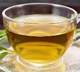 Is honey and green tea the best drink for weight loss