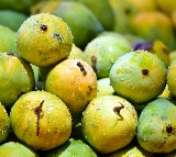 Malihabad mango variety named after PM Modi