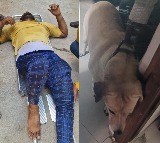 Hyderabad: Delivery agent jumps of 3rd floor of building to escape dog attack