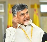 YSRCP MLAs, MPs have 408 criminal cases, says Chandrababu