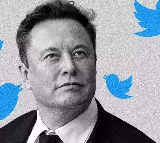 Elon Musk suggests Twitter is more productive after job cuts urges more companies to do the same