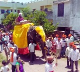 Man celebrate birth of girl child by taking out procession on elephant 