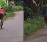 Adorable video of two boys riding a bicycle in a funny way will make you giggle viral vedio