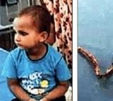 3 year old boy chews snake to death in Uttar Pradesh  