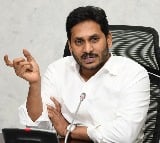 CM Jagan clarifies on early elections in AP