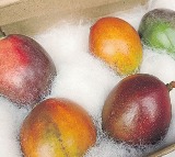 worlds most expensive mango showcased in silguri market westbengal