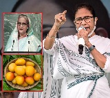 Bangladesh PM Sends 600 Kg Mangoes As Gift To Mamata Banerjee