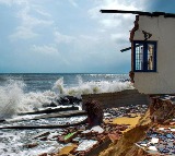 Cyclone Biparjoy Kills 2 and 23 Animals In Gurjat