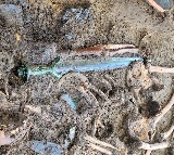 Ancient, well-preserved bronze sword found in Germany